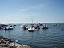 Back to the Beach 2009 (36).JPG
